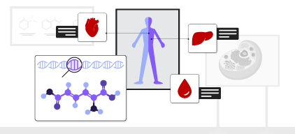 Thumbnail placeholder